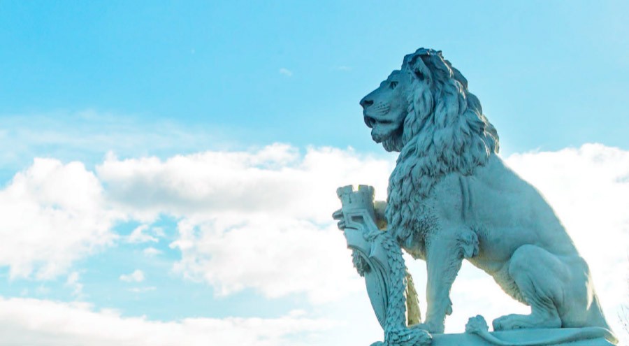 Access new investment opportunities Image of a Lion