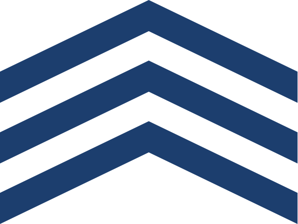 Discretionary mandate Icon